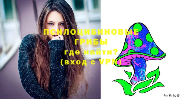 соль курить ск Ростов