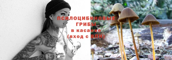 меф Армянск